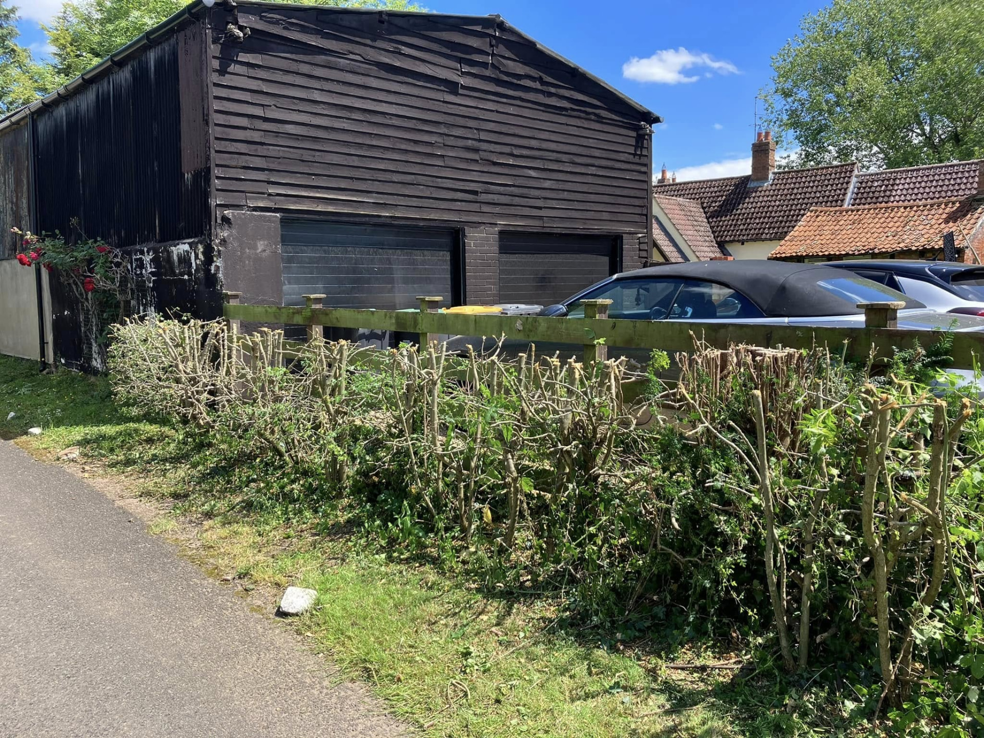 hedge cutting after photo | Roberts Roots tree surgeon, Kettering