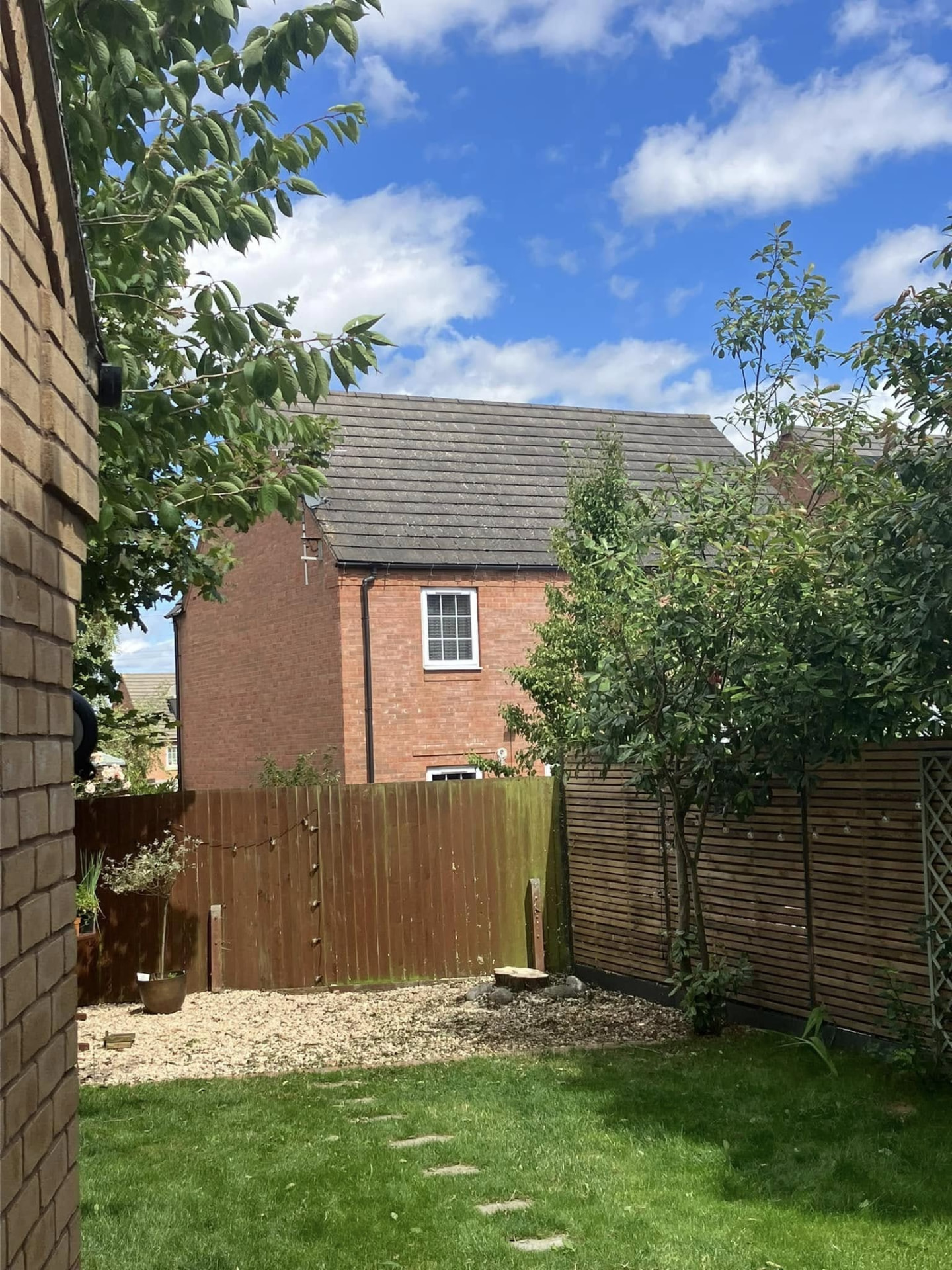 tree removal after photo | Roberts Roots tree surgeon, Kettering