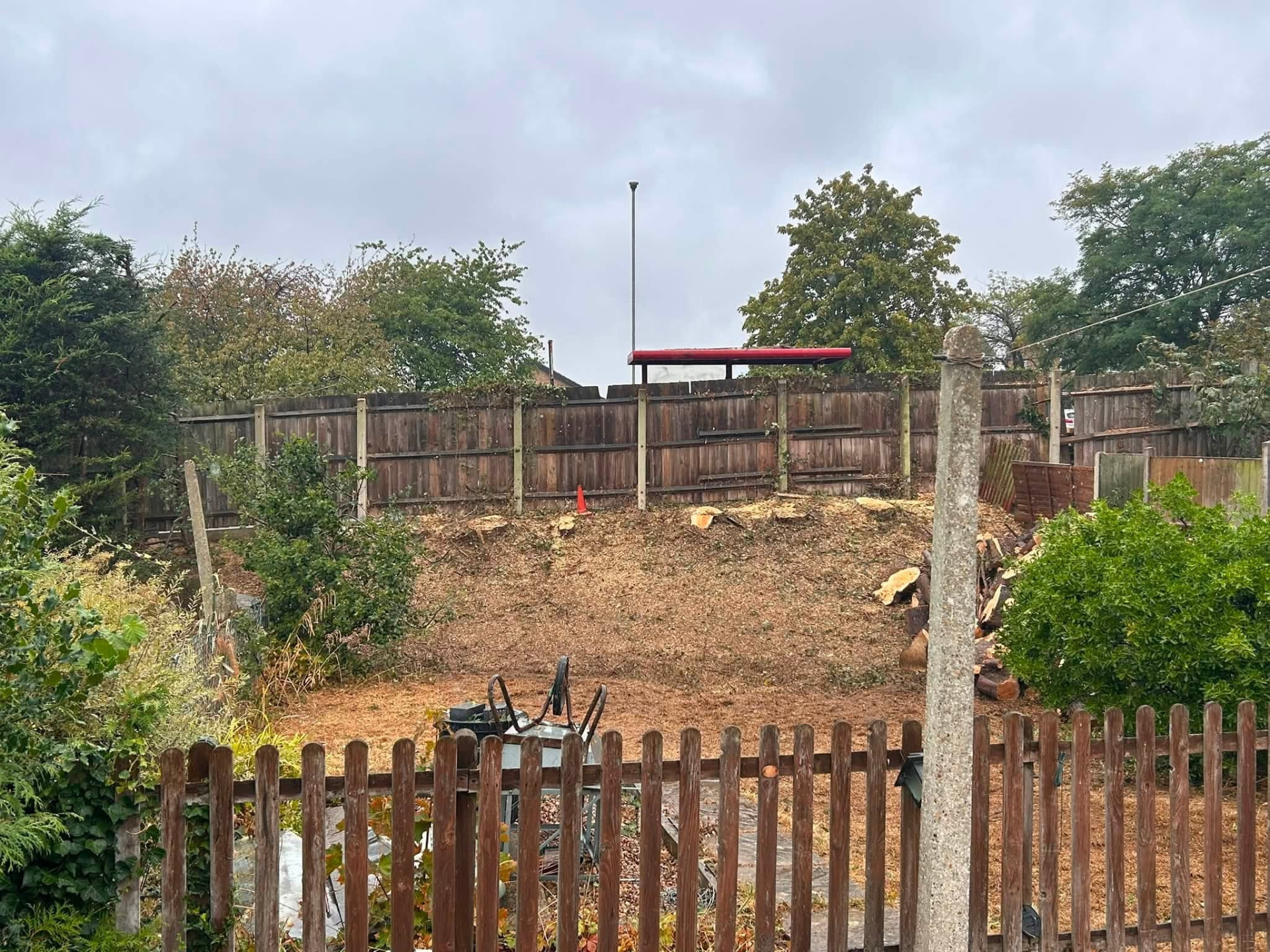 tree removal after photo | Roberts Roots tree surgeon, Kettering