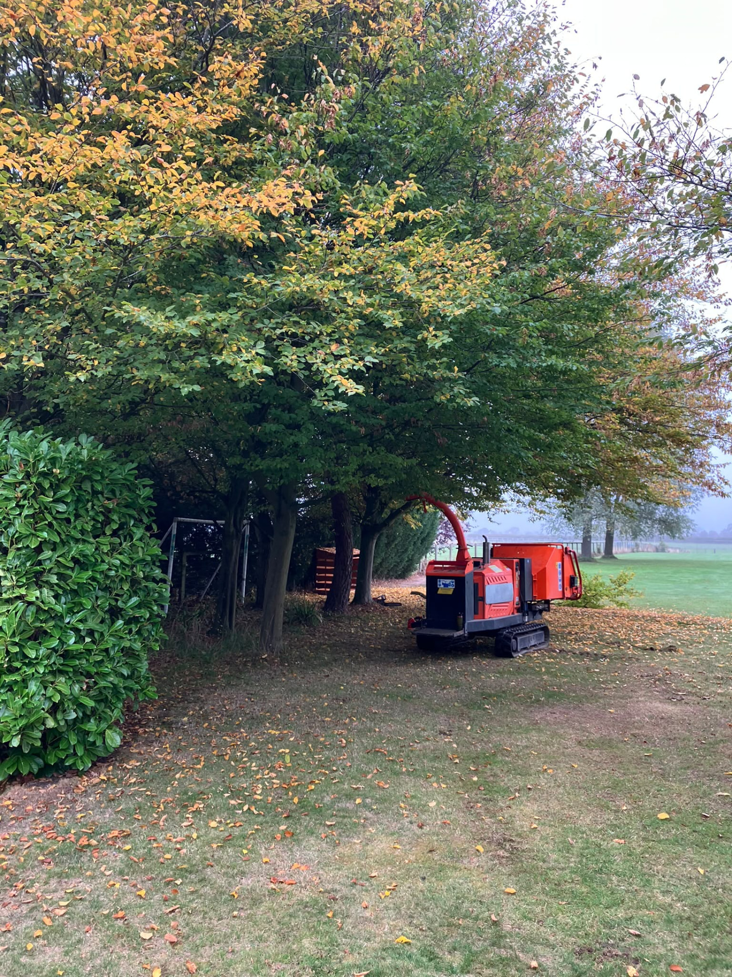 Tracked wood chipper on site under mature trees during tree work