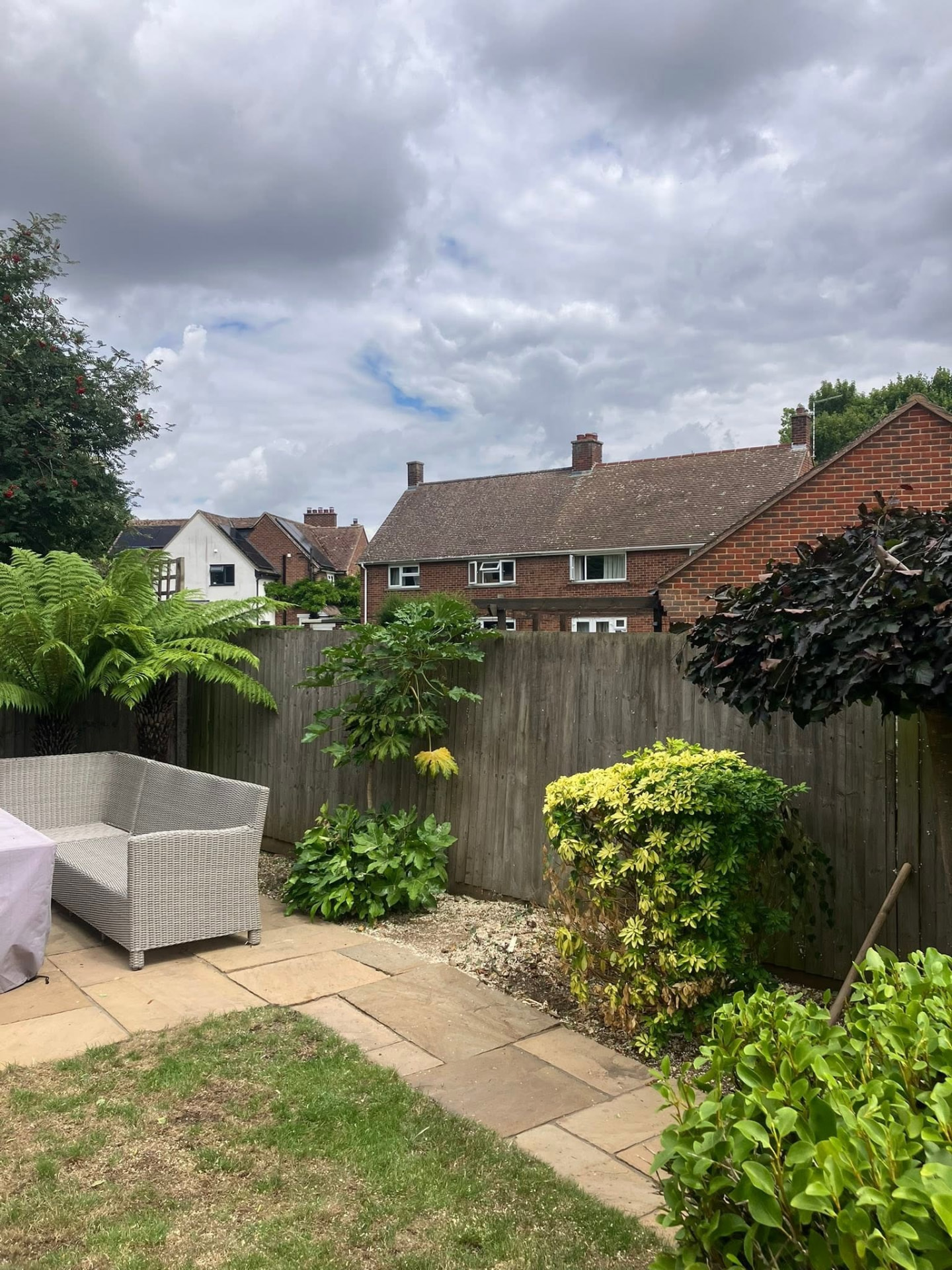 tree removal after photo | Roberts Roots tree surgeon, Kettering