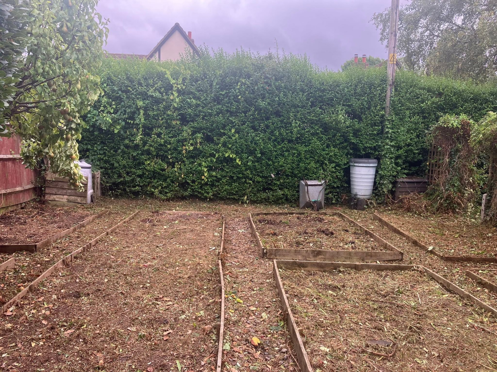 garden clearance after photo | Roberts Roots tree surgeon, Kettering