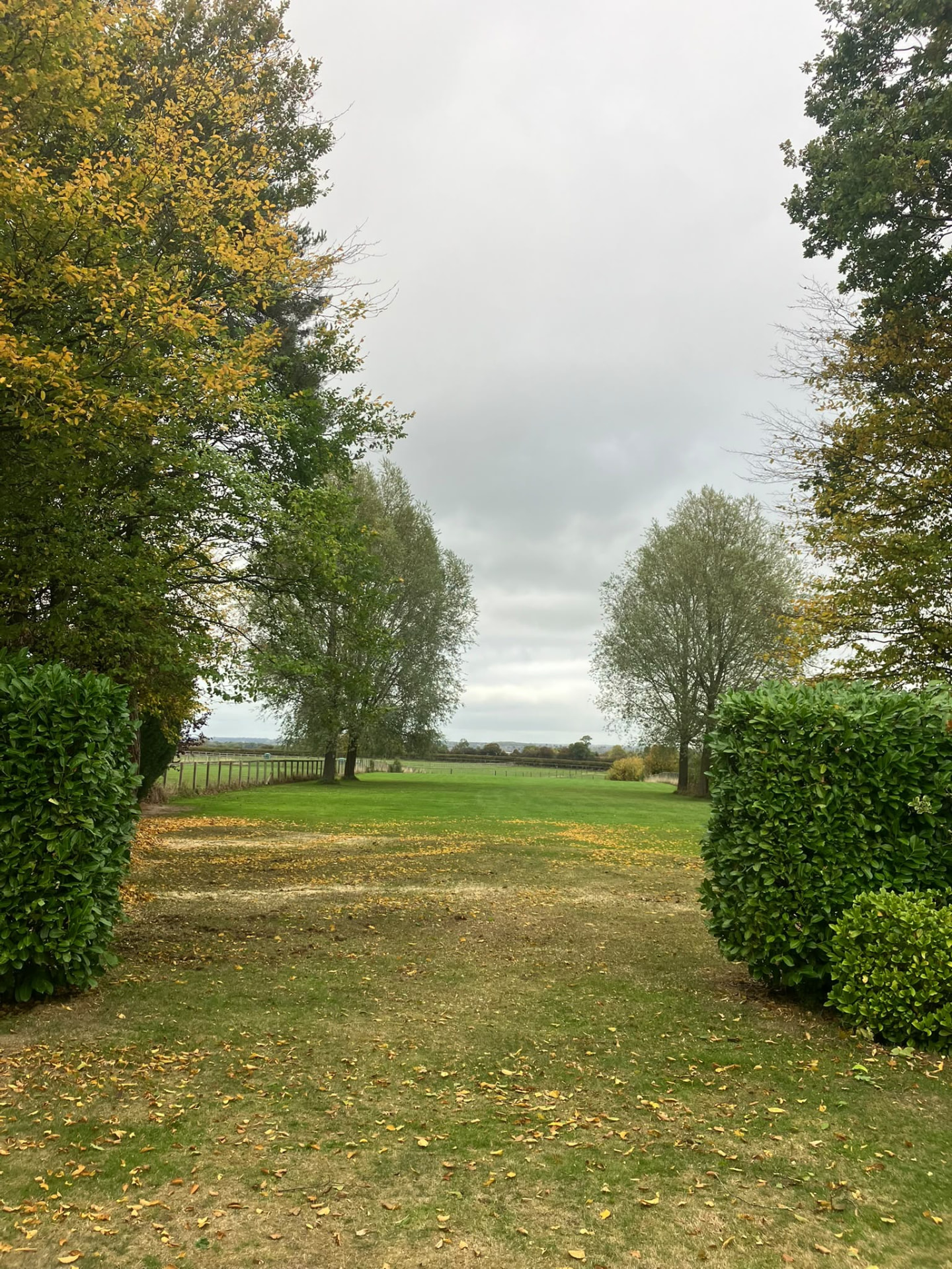 Open lawn framed by mature trees and neatly trimmed laurel hedges in Kettering, Northamptonshire