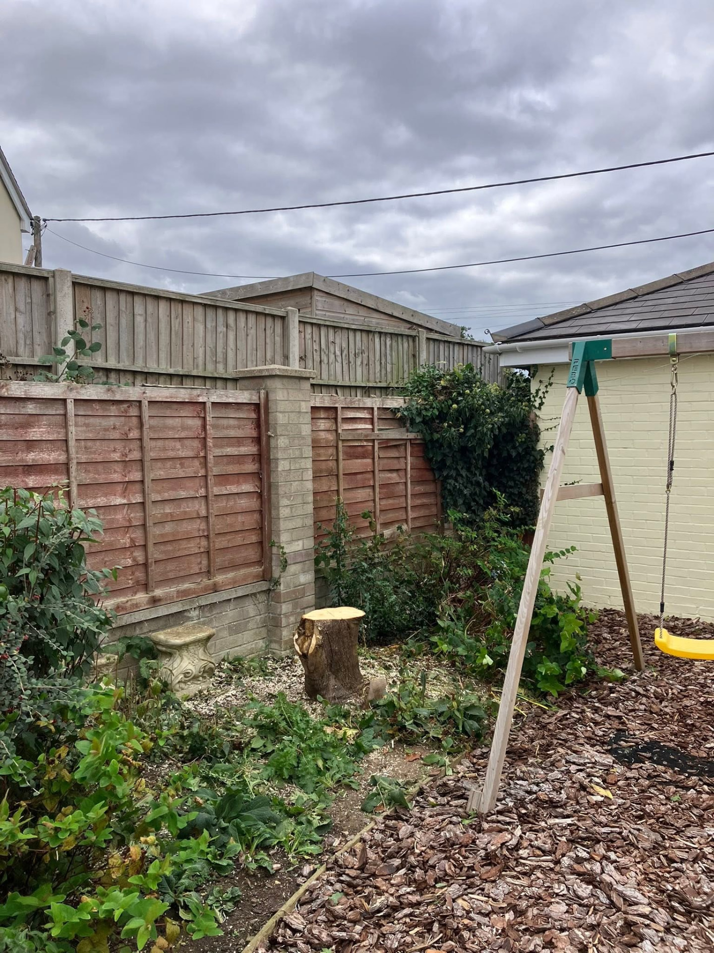 tree removal after photo | Roberts Roots tree surgeon, Kettering