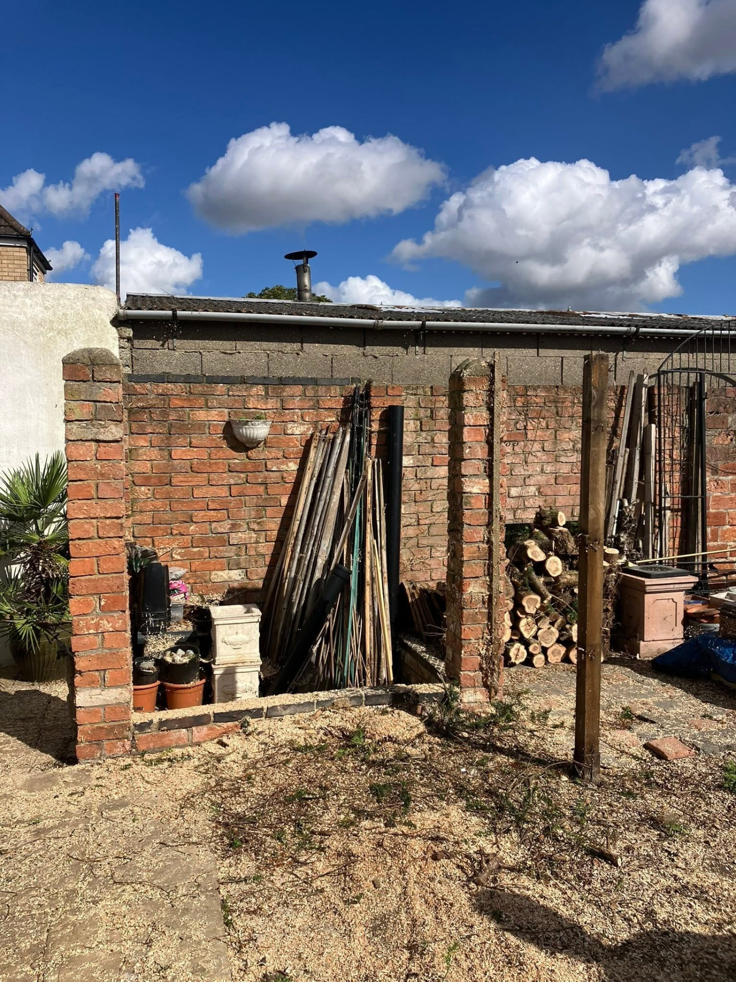 tree removal after photo | Roberts Roots tree surgeon, Kettering
