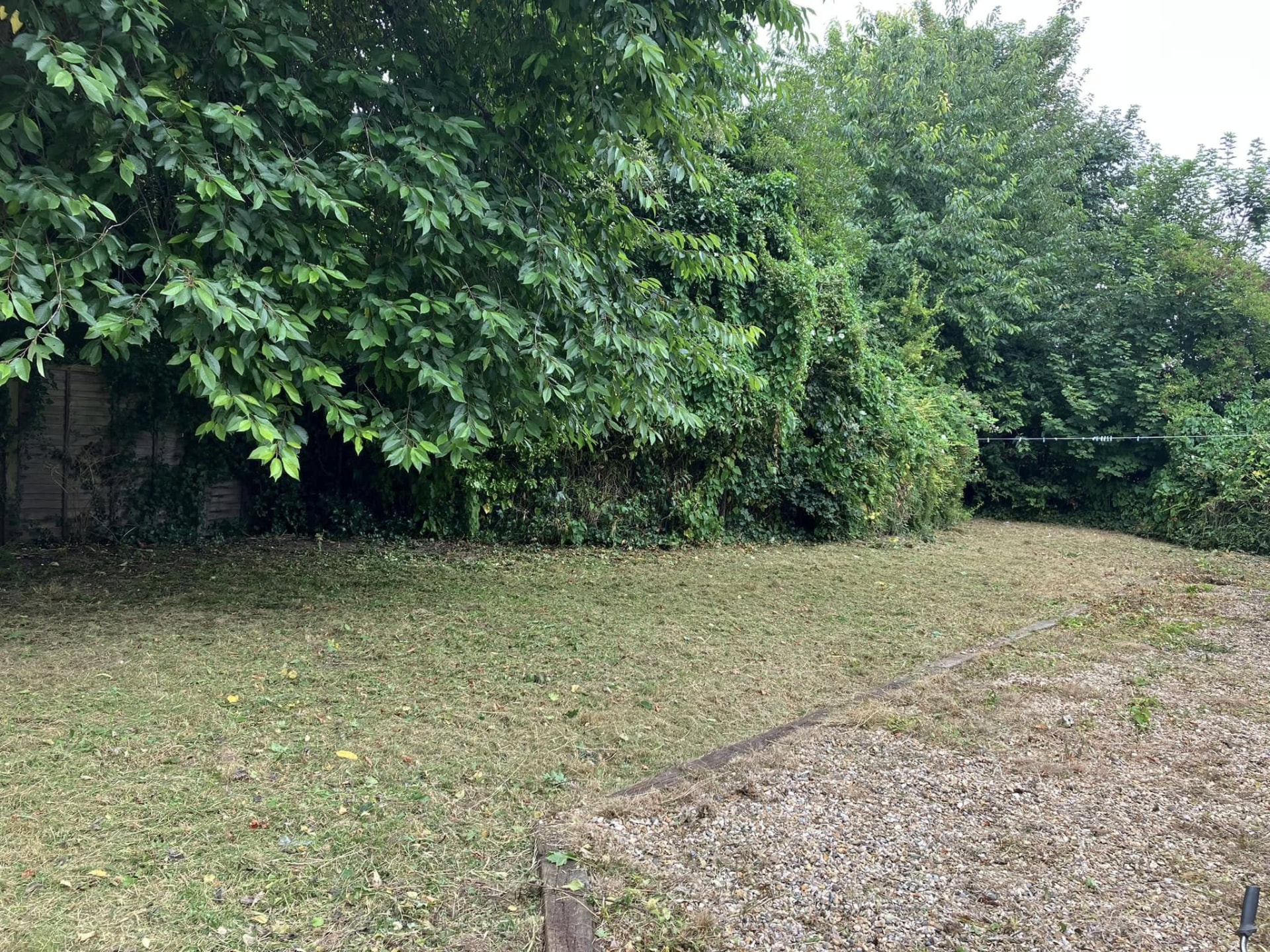 garden clearance after photo | Roberts Roots tree surgeon, Kettering