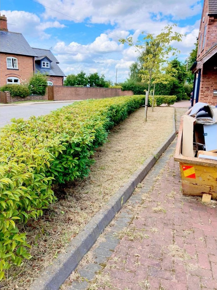 hedge cutting after photo | Roberts Roots tree surgeon, Kettering