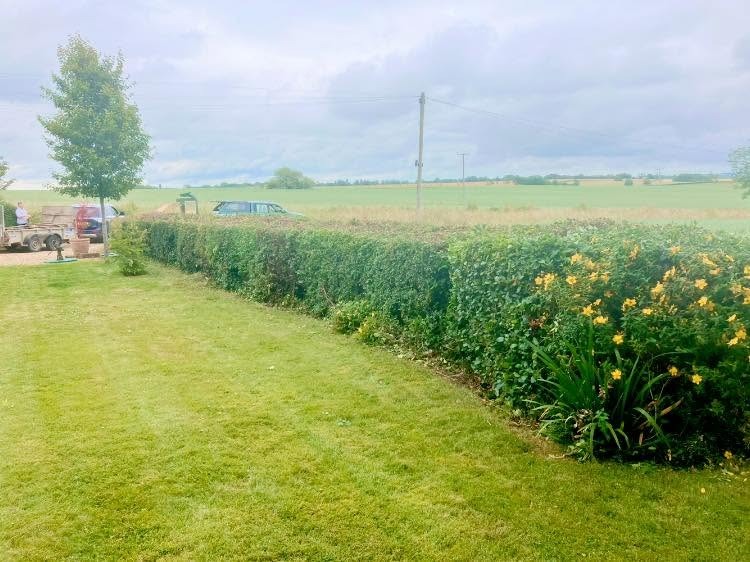 hedge cutting after photo | Roberts Roots tree surgeon, Kettering
