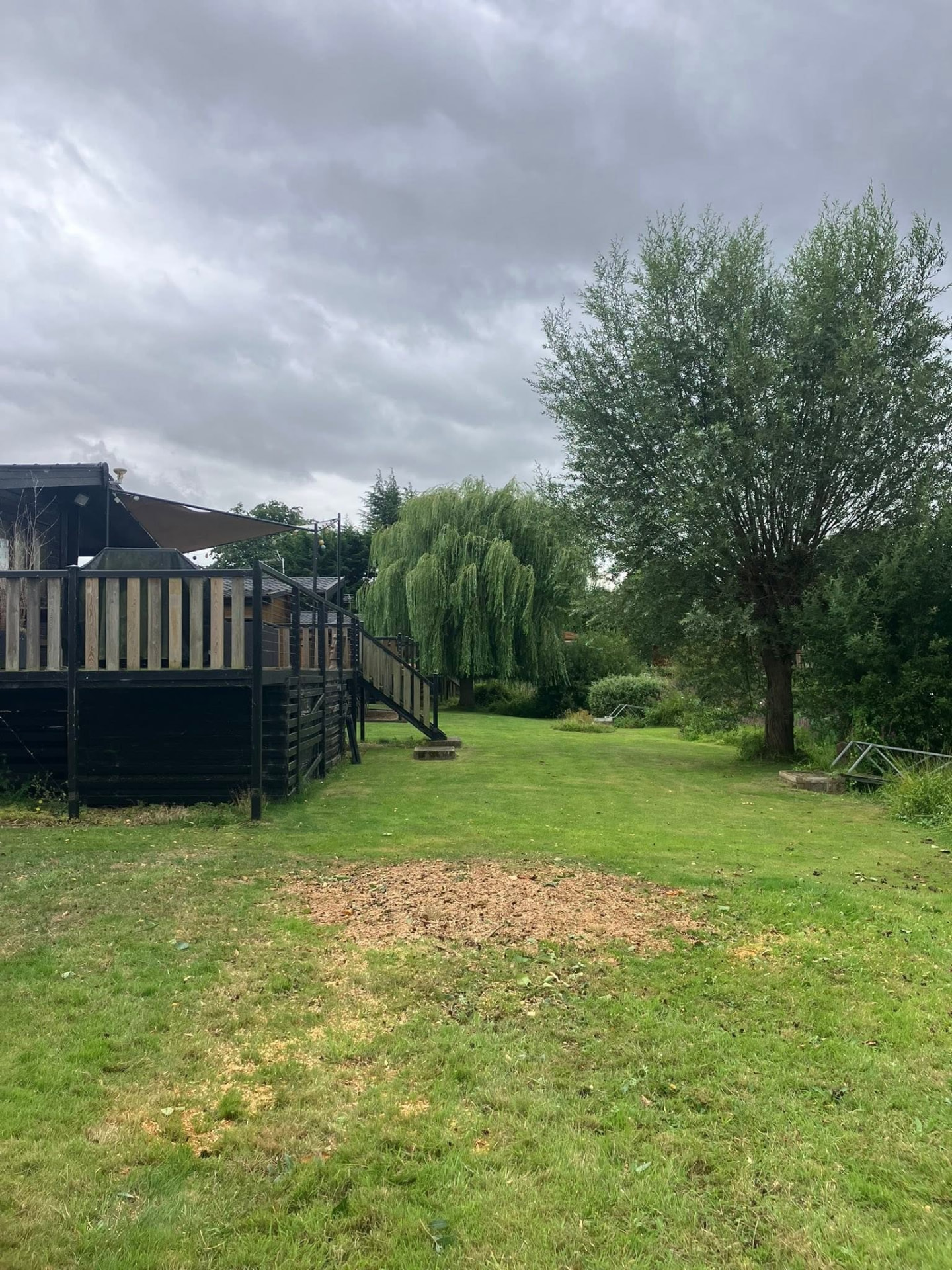 tree removal after photo | Roberts Roots tree surgeon, Kettering