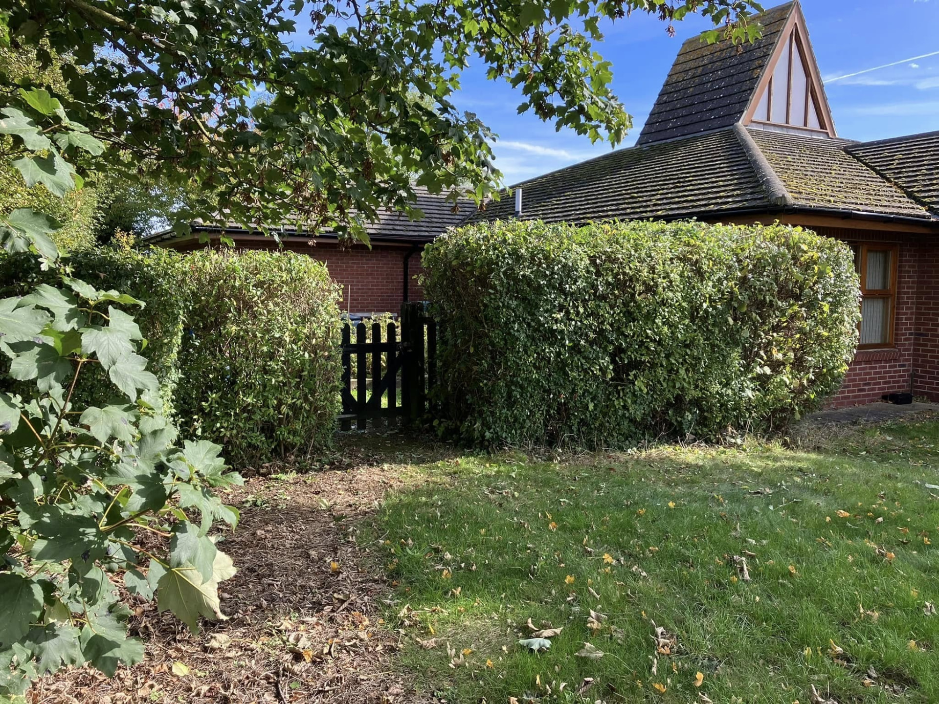 Neatly shaped hedges beside a brick house after professional hedge cutting