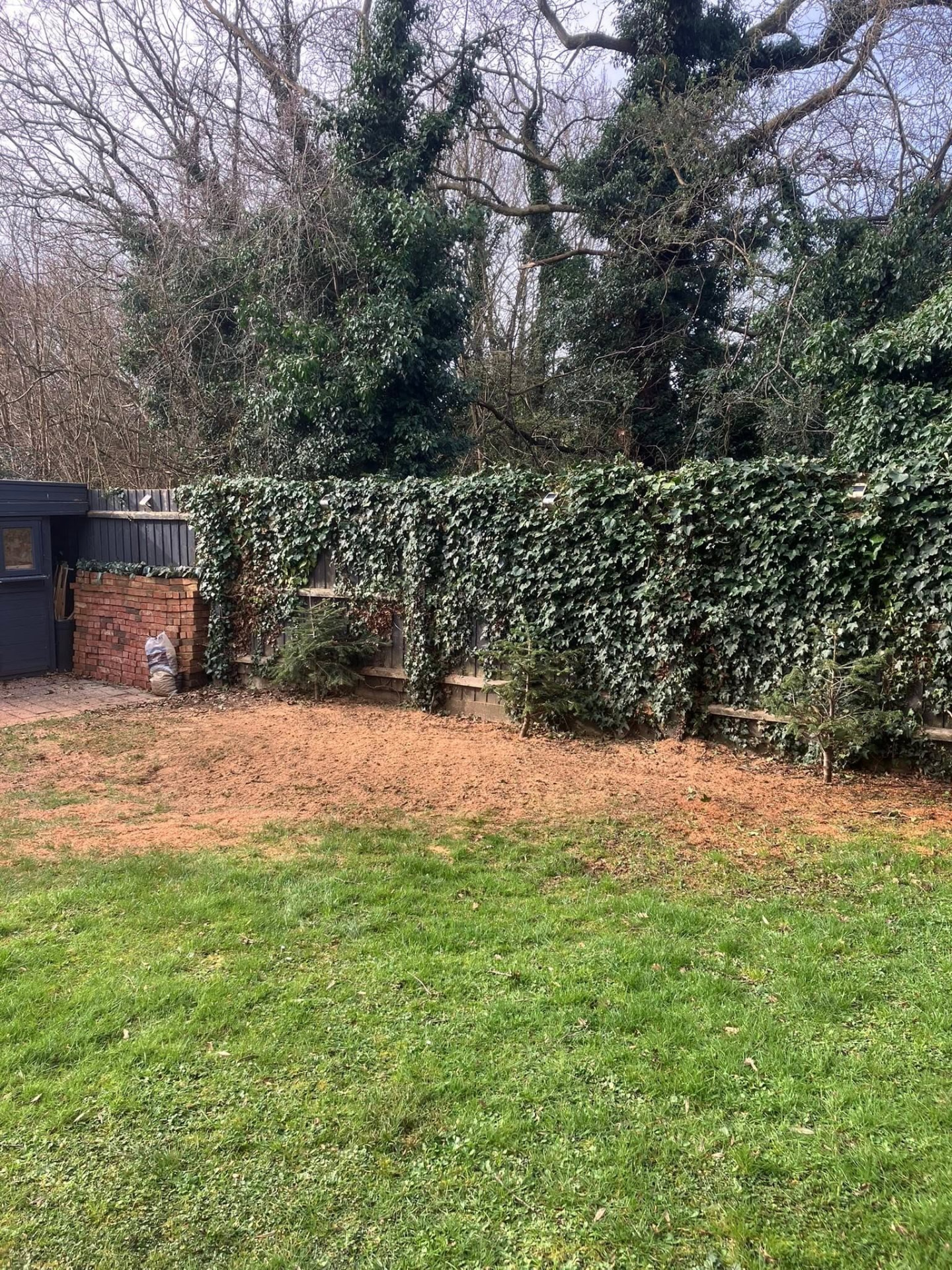 tree removal after photo | Roberts Roots tree surgeon, Kettering