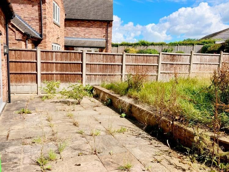 garden clearance before photo | Roberts Roots tree surgeon, Kettering