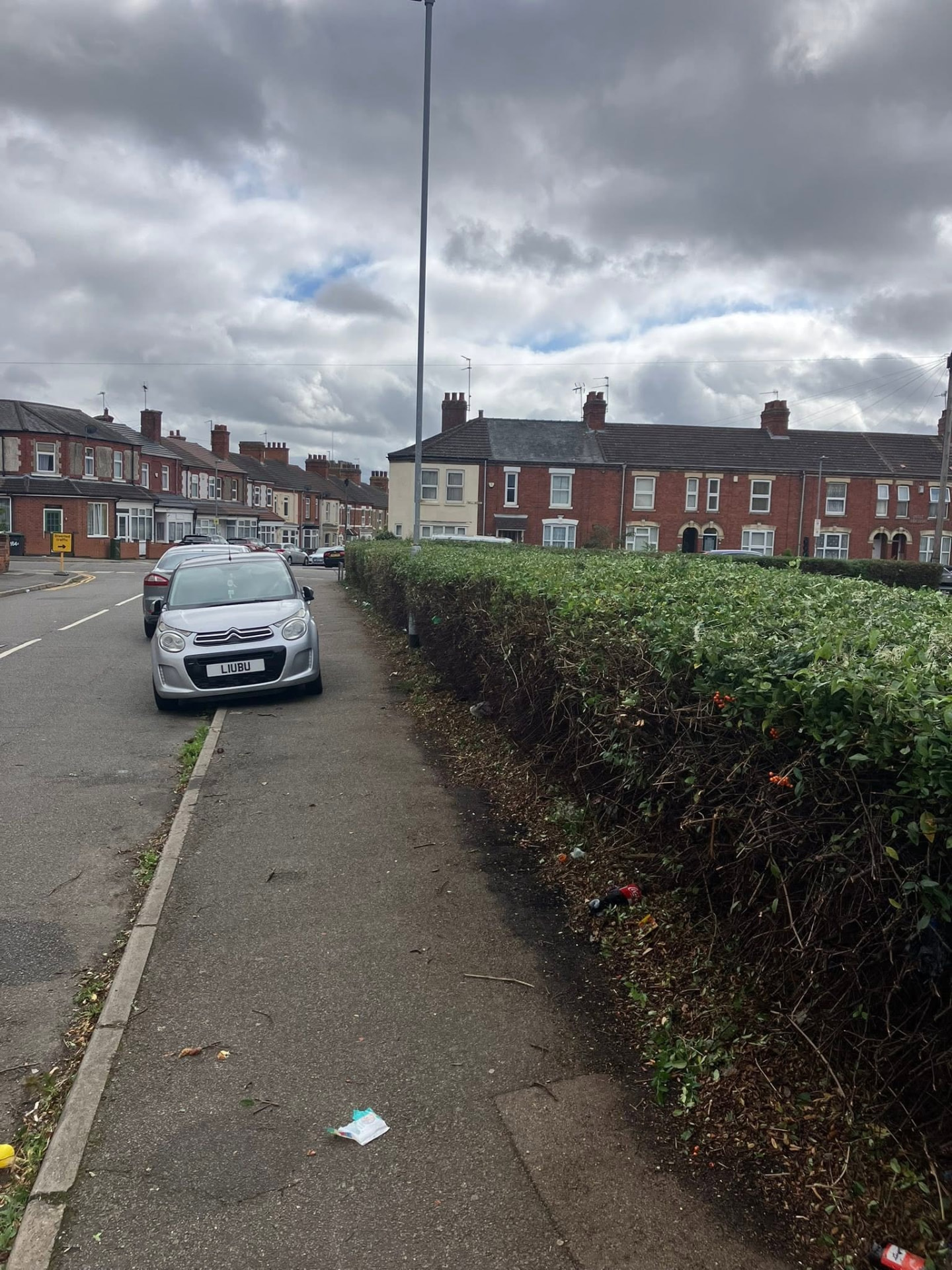 hedge cutting after photo | Roberts Roots tree surgeon, Kettering