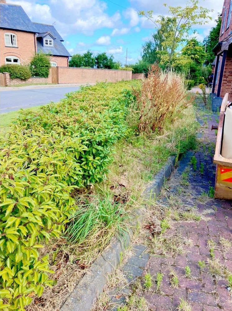 hedge cutting before photo | Roberts Roots tree surgeon, Kettering