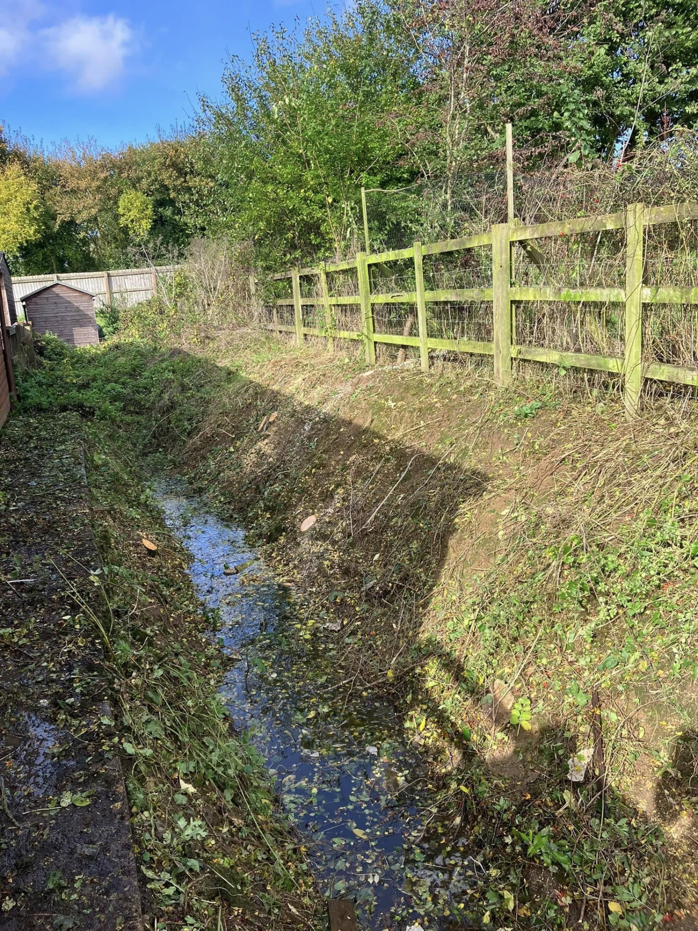 garden clearance after photo | Roberts Roots tree surgeon, Kettering