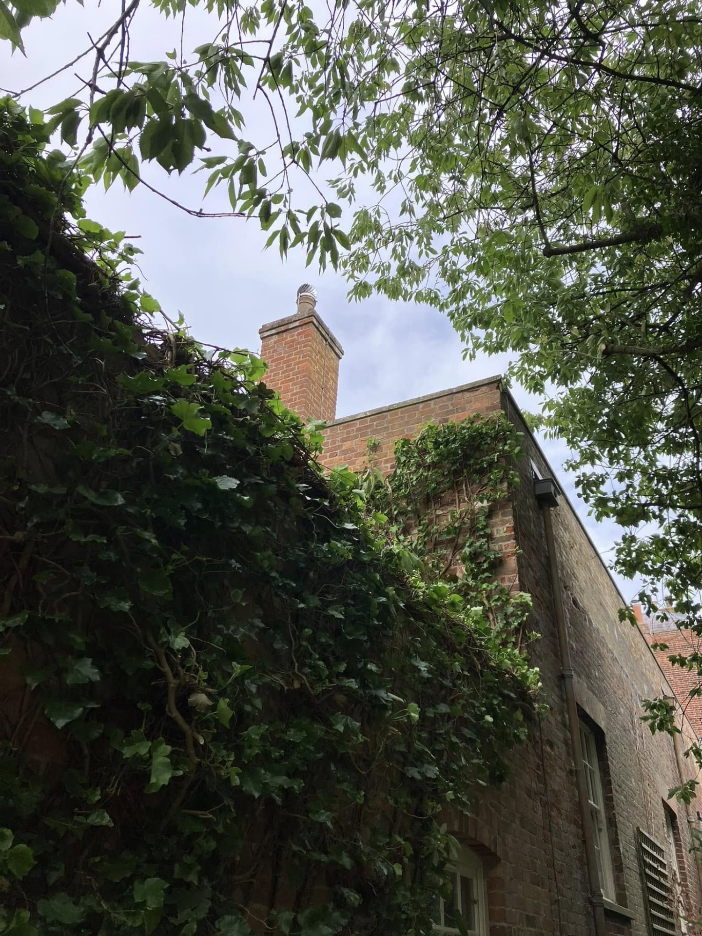 tree reduction after photo | Roberts Roots tree surgeon, Kettering